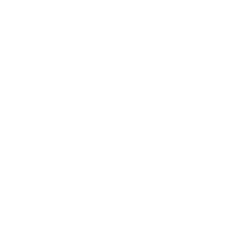REALITY LIPEX PLUS